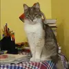 Отзыв от Альфия Ефремова